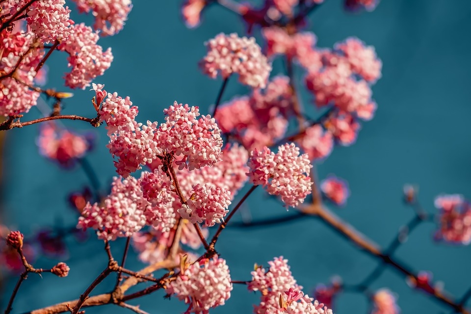 Tử vi thứ Bảy ngày 9/3/2019 của 12 cung hoàng đạo tu vi thu bay ngay 932019 cua 12 cung hoang dao