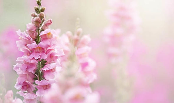 Tử vi thứ Hai ngày 28/9/2020 của 12 cung hoàng đạo