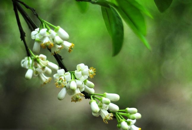 tu vi thu bay ngay 732020 cua 12 cung hoang dao