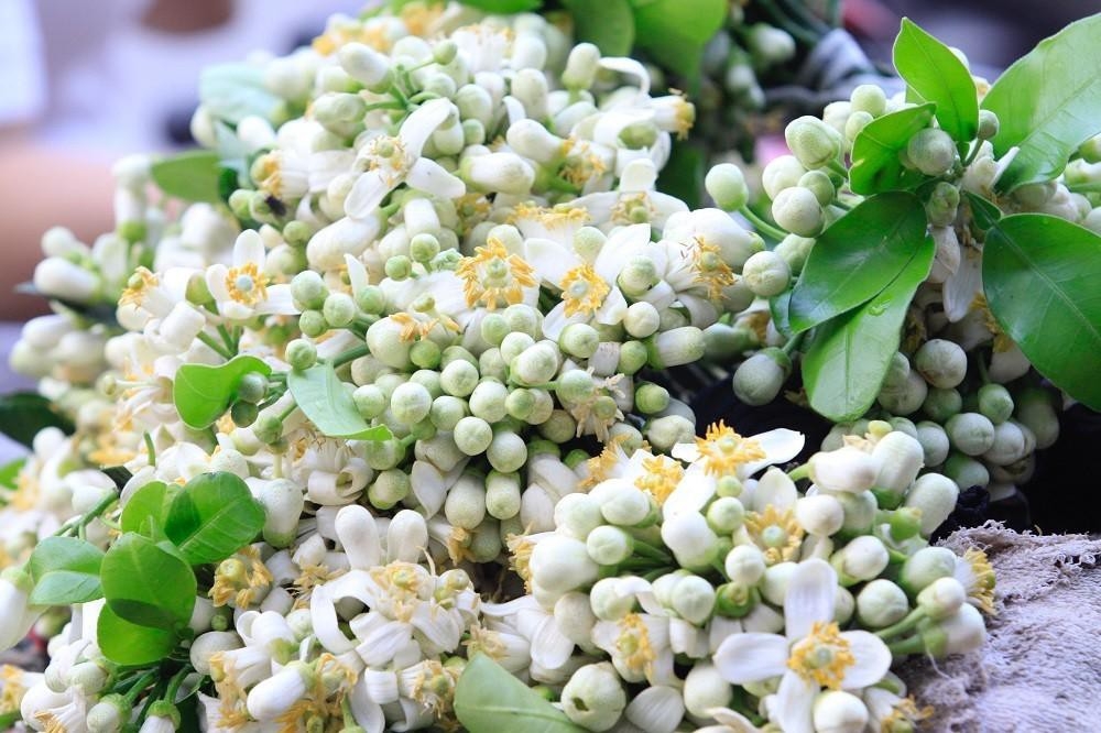 tu vi thu bay ngay 732020 cua 12 cung hoang dao