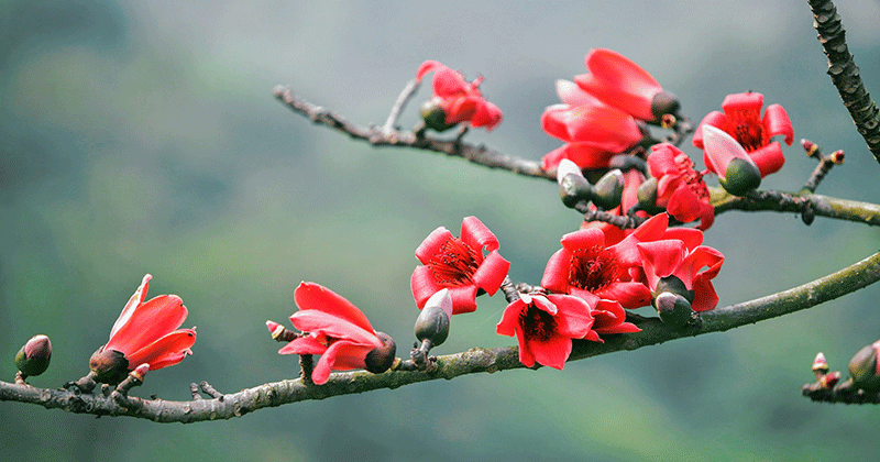 tu vi thu bay ngay 1432020 cua 12 cung hoang dao