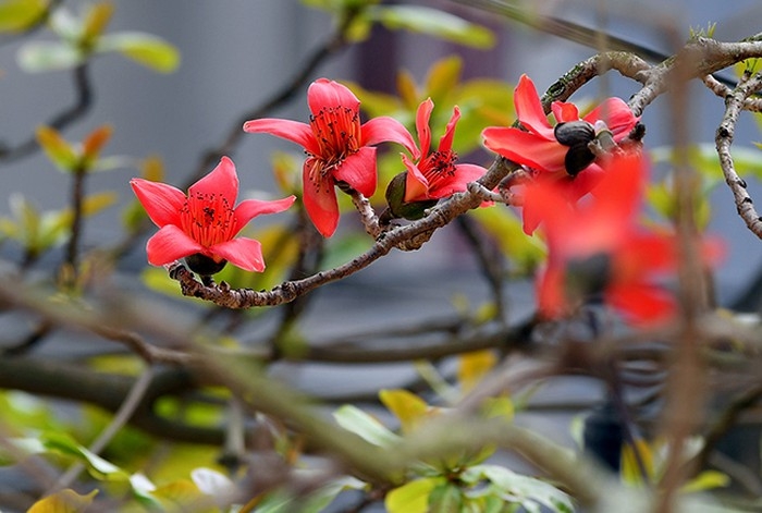 Tử vi tháng 4/2022 của 12 cung hoàng đạo: Song Tử nỗ lực, Xử Nữ hăng hái Tử vi tháng 4/2022 của 12 cung hoàng đạo: