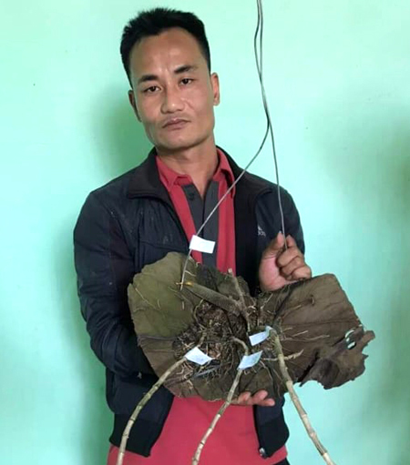 5 nguoi trom lan tien ty