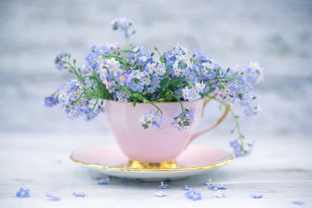 Tử vi ngày 5/5/2021 của 12 cung hoàng đạo: Nhân Mã cần kiên nhẫn