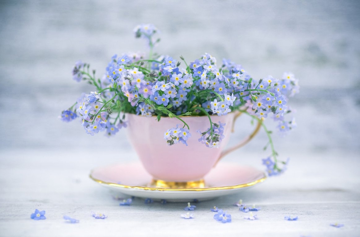 Tử vi 12 cung hoàng đạo ngày 19/8/2021: Sư Tử độc lập