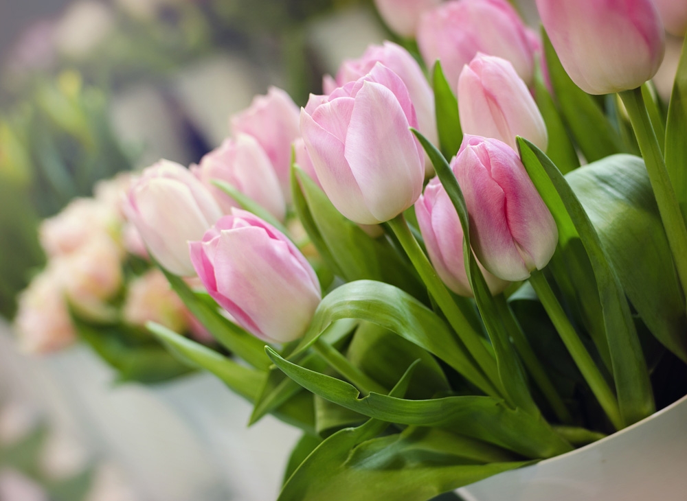 Tử vi tháng 4/2022 của 12 cung hoàng đạo: Song Tử nỗ lực, Xử Nữ hăng hái Tử vi tháng 4/2022 của 12 cung hoàng đạo: