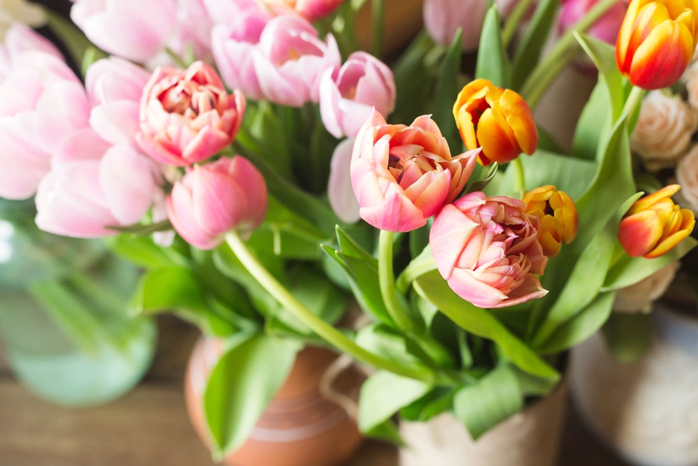 Tử vi ngày 15/3/2021 của 12 cung hoàng đạo: Song Tử lạc quan Tử vi ngày 15/3/2021 của 12 cung hoàng đạo: Song Tử lạc quan