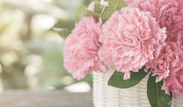 Tử vi ngày 27/5/2022 của 12 cung hoàng đạo: Cự Giải hào hứng, Song Ngư lạc quan