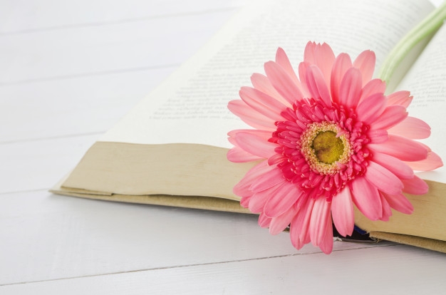 Tử vi ngày 15/3/2021 của 12 cung hoàng đạo: Song Tử lạc quan Tử vi ngày 15/3/2021 của 12 cung hoàng đạo: Song Tử lạc quan