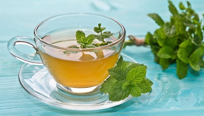 10 lợi ích tuyệt vời của lá bạc hà với sức khỏe