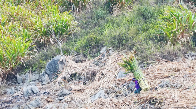 Ngày 8/3 của những người phụ nữ dân tộc H'Mông