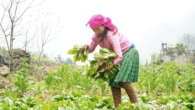 Ngày 8/3 của những người phụ nữ dân tộc H'Mông