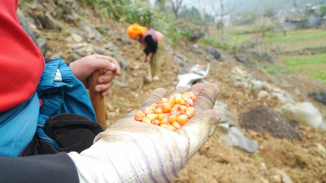 Ngày 8/3 của những người phụ nữ dân tộc H'Mông
