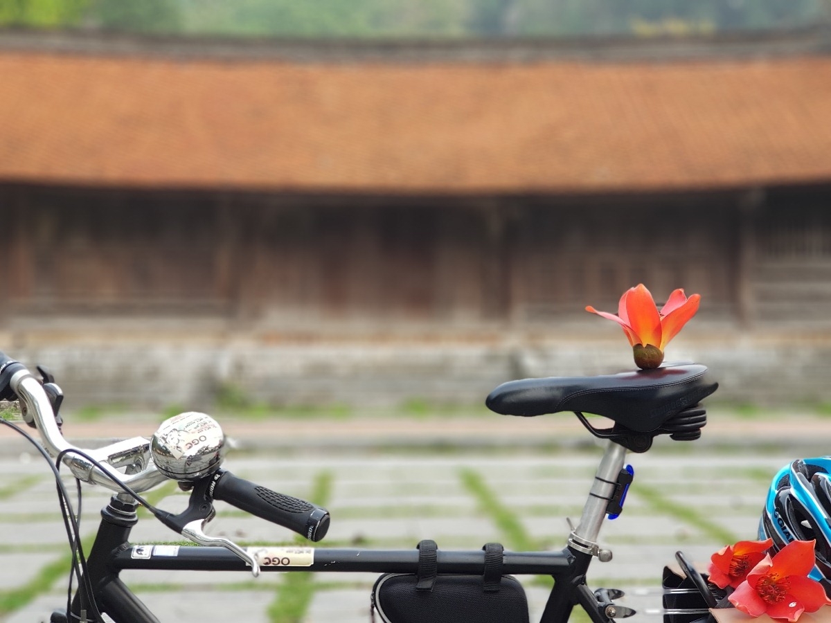 Thương nhớ hoa gạo tháng ba… Thương nhớ hoa gạo tháng Ba…