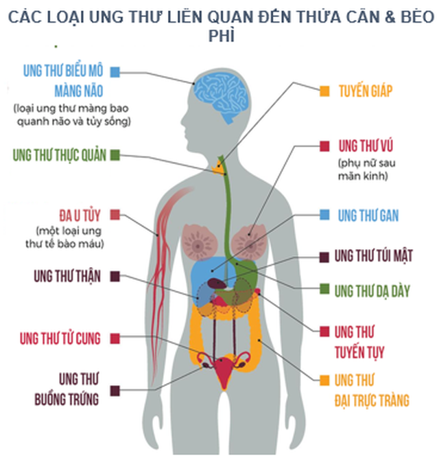Trọng lượng cơ thể quyết định nguy cơ mắc ung thư của bạn như thế nào? - 2