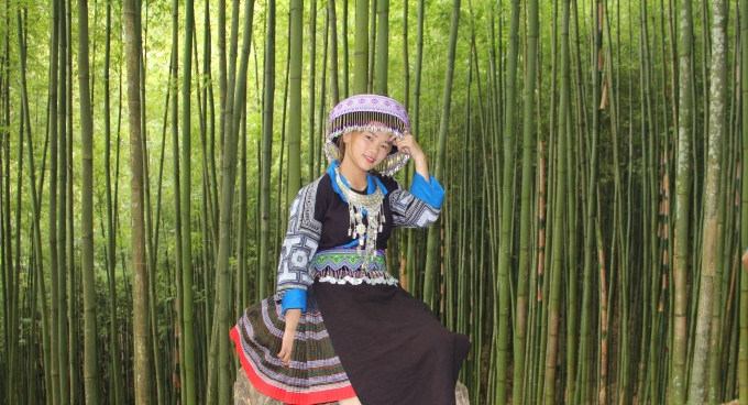 Lạc giữa rừng trúc Mù Cang Chải