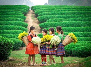 Phát triển du lịch theo hướng tăng trưởng xanh vùng Tây Bắc