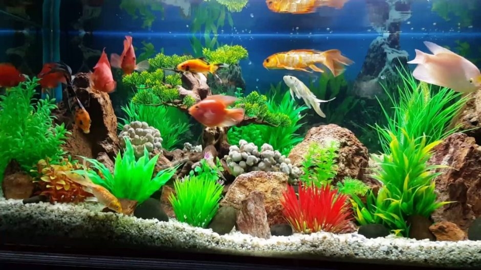4 đồ vật trong nhà không nên tùy ý di chuyển