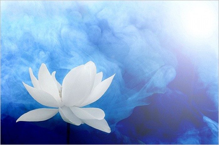 nhan qua bao ung chi la som hay muon ma thoi