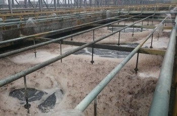 Tổng kiểm tra Formosa Hà Tĩnh