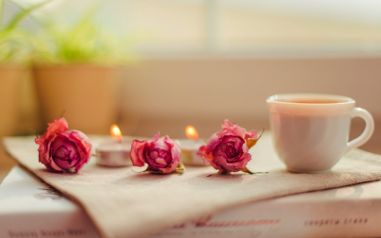 Tử vi ngày 2/4/2023 của 12 cung hoàng đạo: Cự Giải vui vẻ, Song Ngư hào phóng