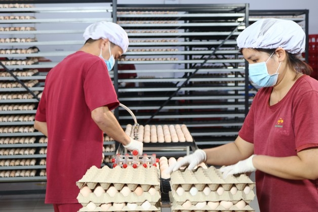 Nhà máy ấp trứng gia cầm Bel Gà: Thúc đẩy nông nghiệp Tây Ninh phát triển theo hướng công nghệ cao