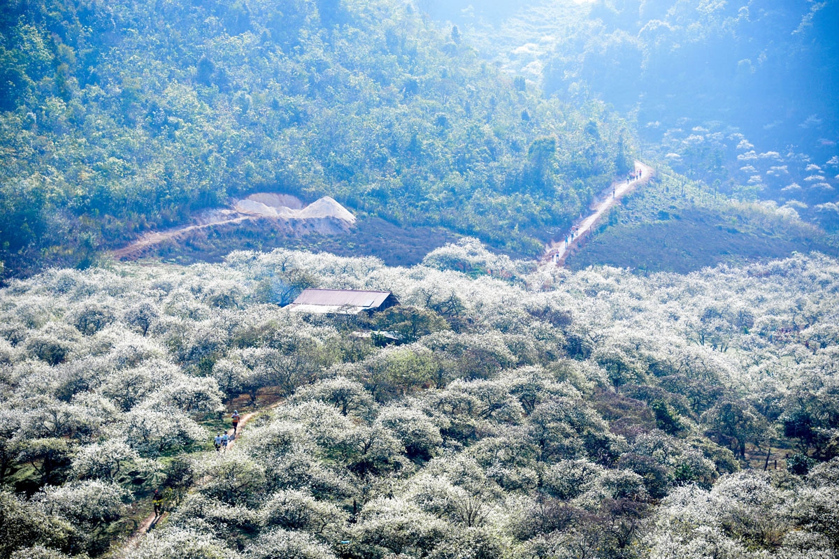 Hơn 4.000 VĐV tham gia Vietnam Trail Marathon 2021 tại Mộc Châu