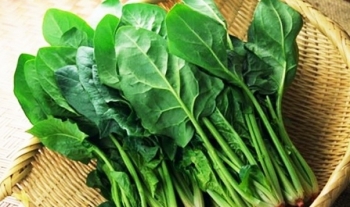 Cải bó xôi - "Thần dược" chống ung thư