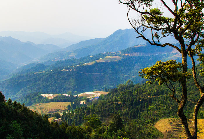 Chiêm ngưỡng ruộng bậc thang Mẫu Sơn mùa nước đổ Chiêm ngưỡng ruộng bậc thang Mẫu Sơn mùa nước đổ