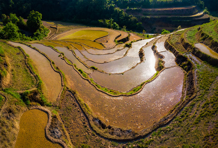 Chiêm ngưỡng ruộng bậc thang Mẫu Sơn mùa nước đổ
