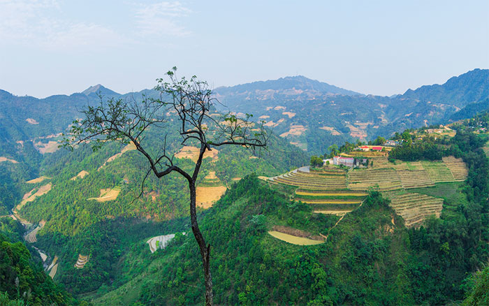 Chiêm ngưỡng ruộng bậc thang Mẫu Sơn mùa nước đổ Chiêm ngưỡng ruộng bậc thang Mẫu Sơn mùa nước đổ