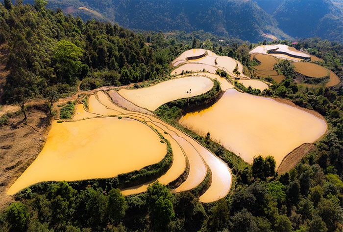 Chiêm ngưỡng ruộng bậc thang Mẫu Sơn mùa nước đổ Chiêm ngưỡng ruộng bậc thang Mẫu Sơn mùa nước đổ