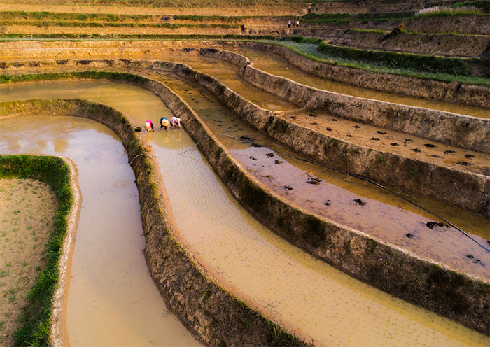 Chiêm ngưỡng ruộng bậc thang Mẫu Sơn mùa nước đổ