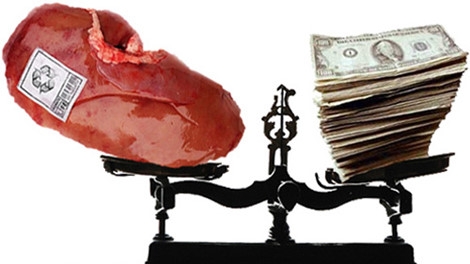 Hà Nội: Bán thận bất thành, chuyển “nghề” lừa đảo người cần ghép tạng
