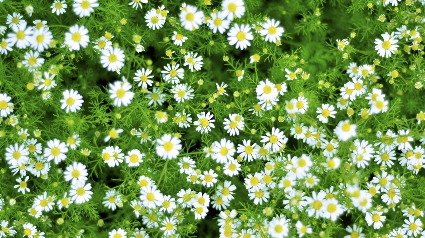 Tử vi ngày 21/5/2021 của 12 cung hoàng đạo: Ma Kết kiêu ngạo Tử vi ngày 21/5/2021 của 12 cung hoàng đạo: Ma Kết kiêu ngạo