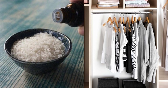 Đặt một túi gạo vào tủ quần áo, bạn sẽ thấy điều bất ngờ xảy ra! Đặt một túi gạo vào tủ quần áo, bạn sẽ thấy điều bất ngờ xảy ra!