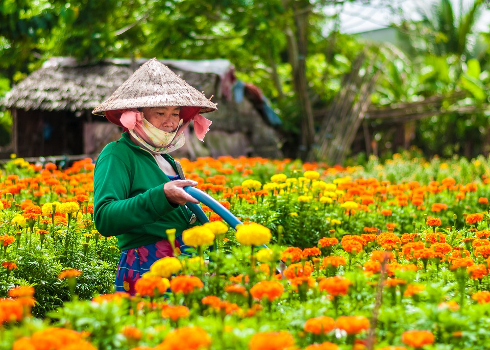 Khám phá một số làng nghề truyền thống tại Cần Thơ Khám phá một số làng nghề truyền thống tại Cần Thơ