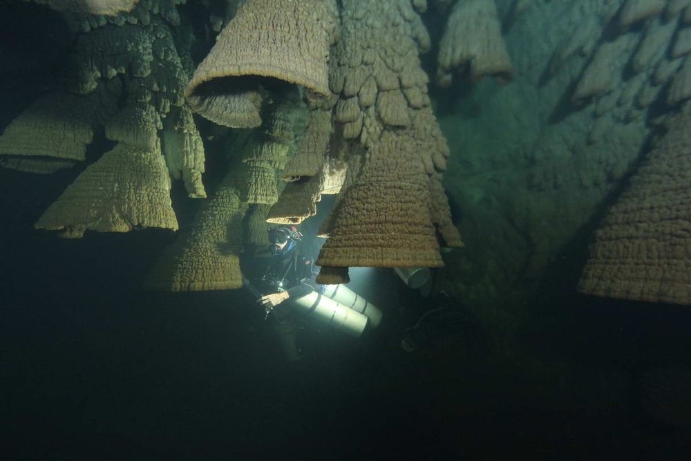 Khám phá hang thạch nhũ hình chuông “siêu độc” ở Mexico Khám phá hang thạch nhũ hình chuông “siêu độc” ở Mexico