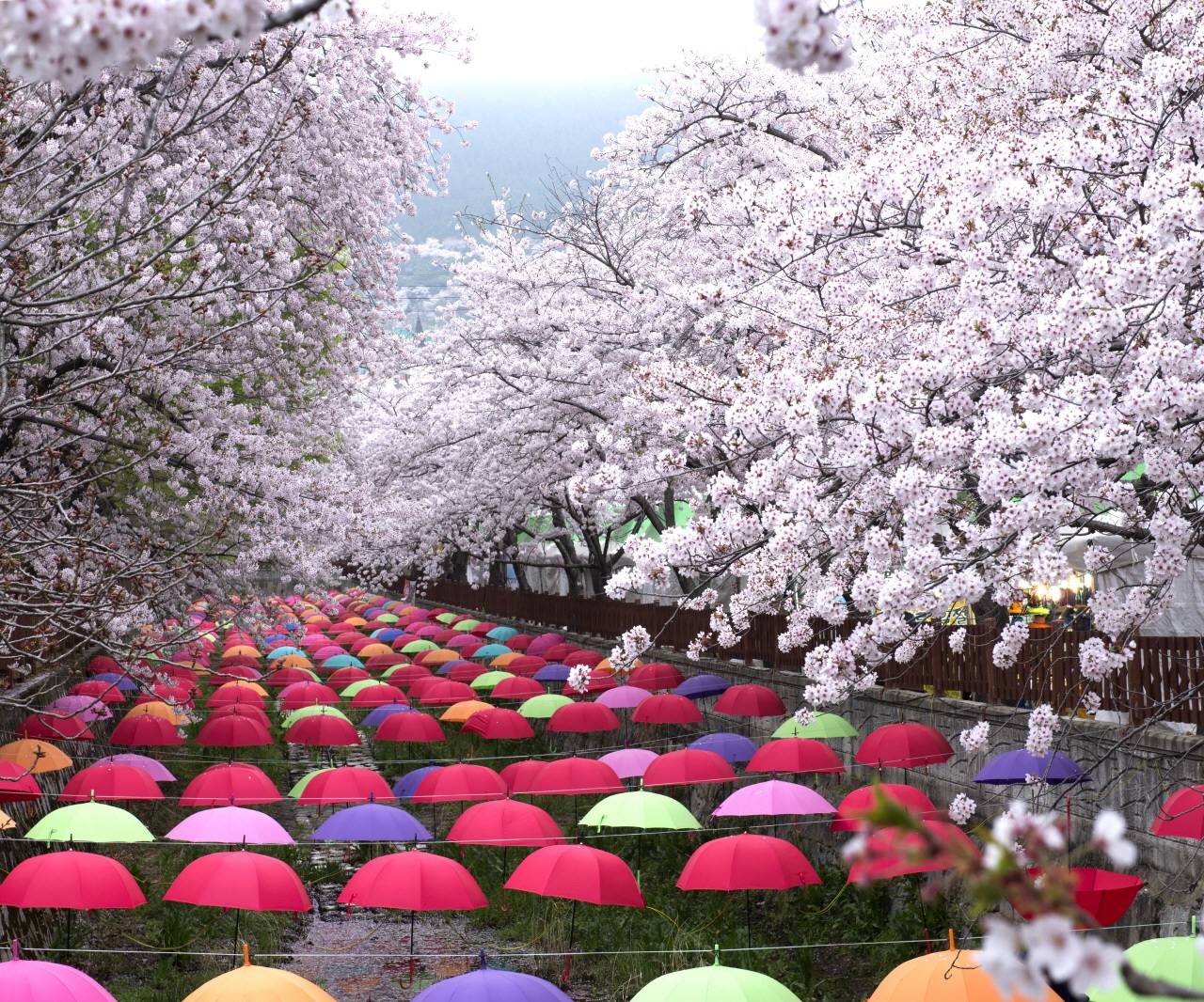 Changwon - Thành phố du lịch xinh đẹp của xứ sở Kim chi