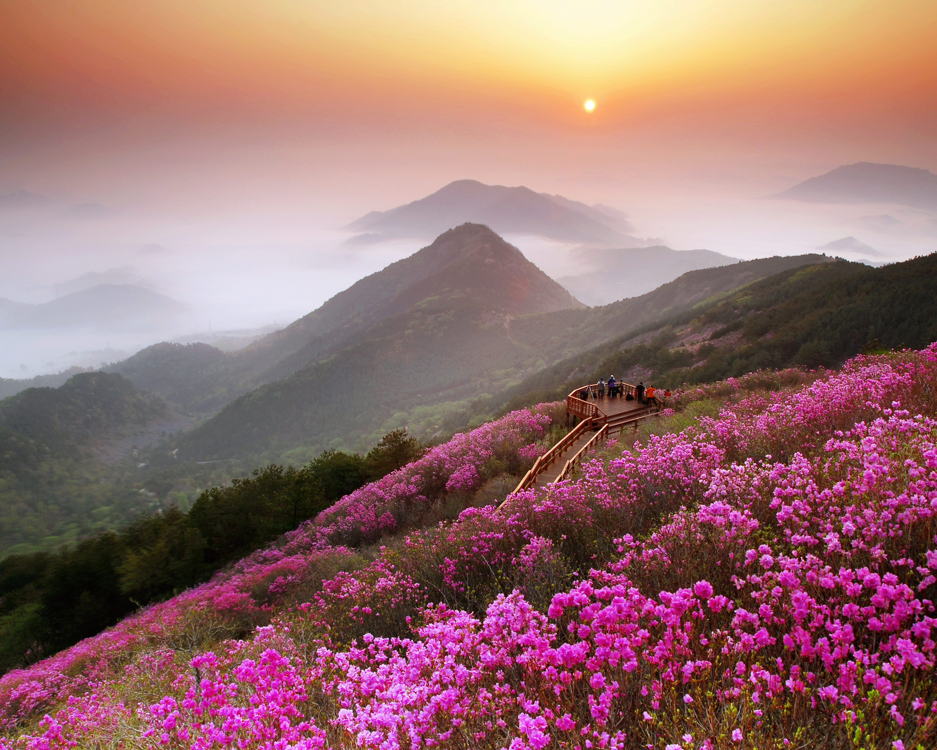 Changwon - Thành phố du lịch xinh đẹp của xứ sở Kim chi