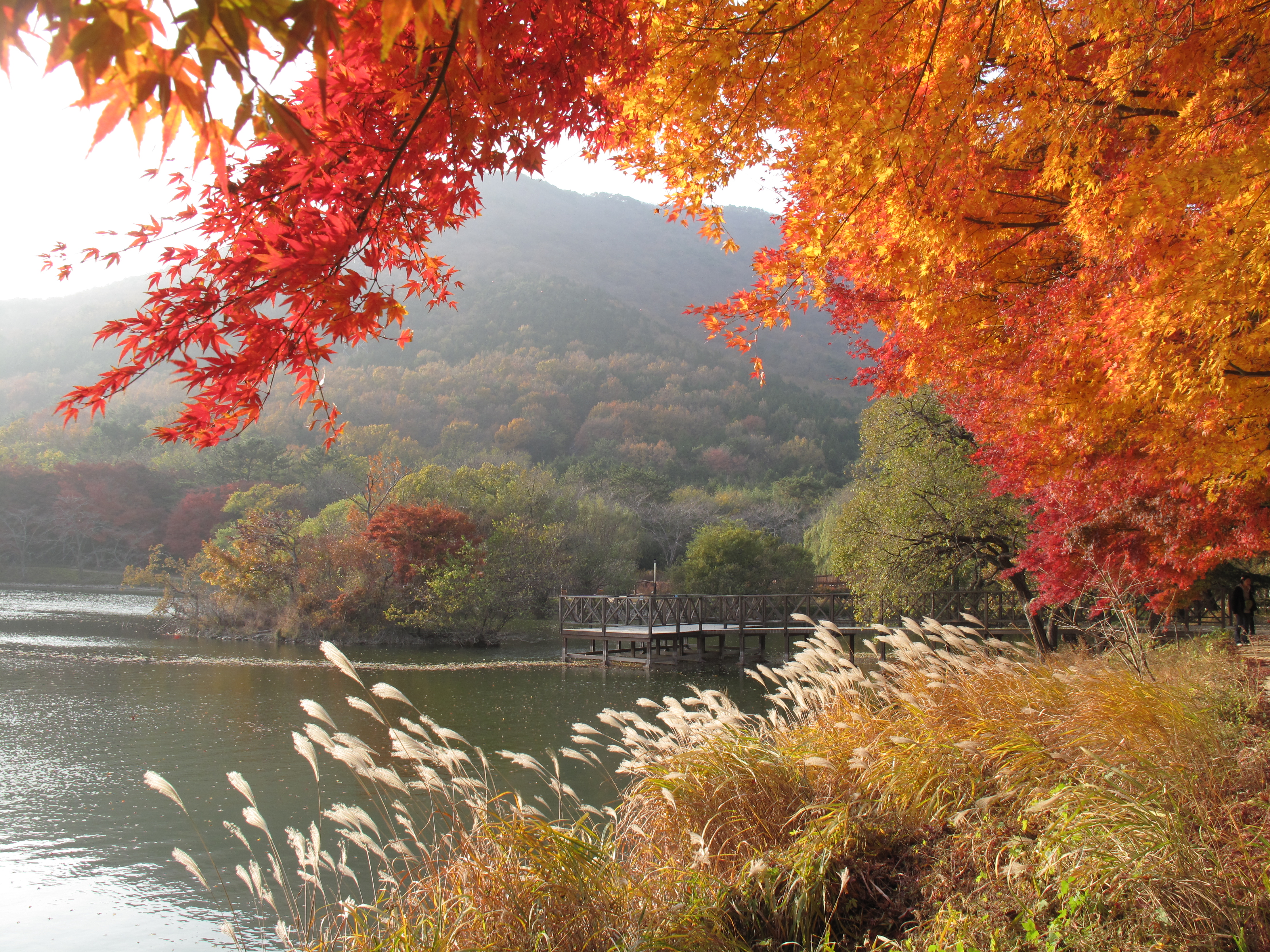Changwon - Thành phố du lịch xinh đẹp của xứ sở Kim chi
