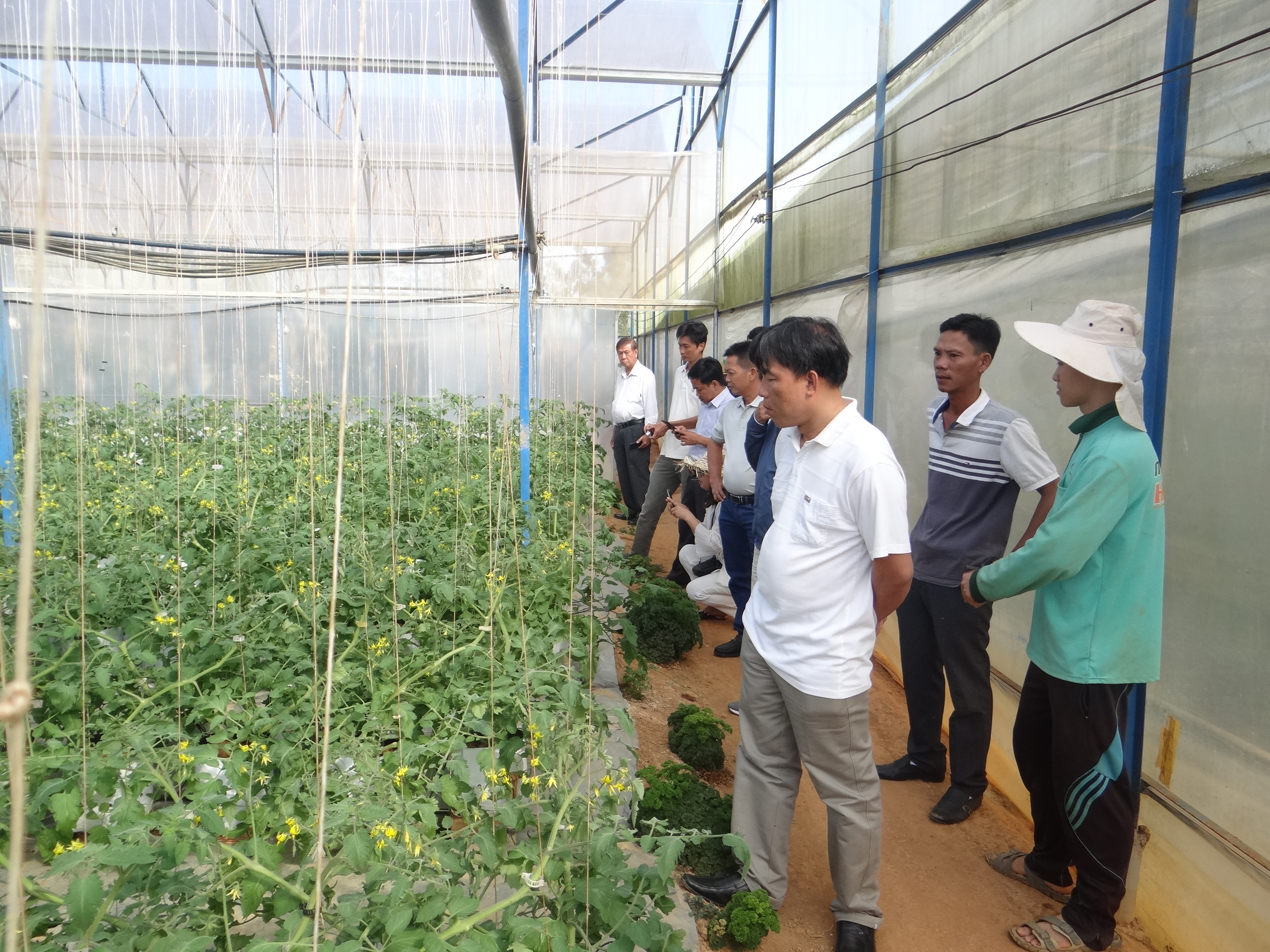 Phát triển kinh tế trang trại gắn với du lịch nông nghiệp