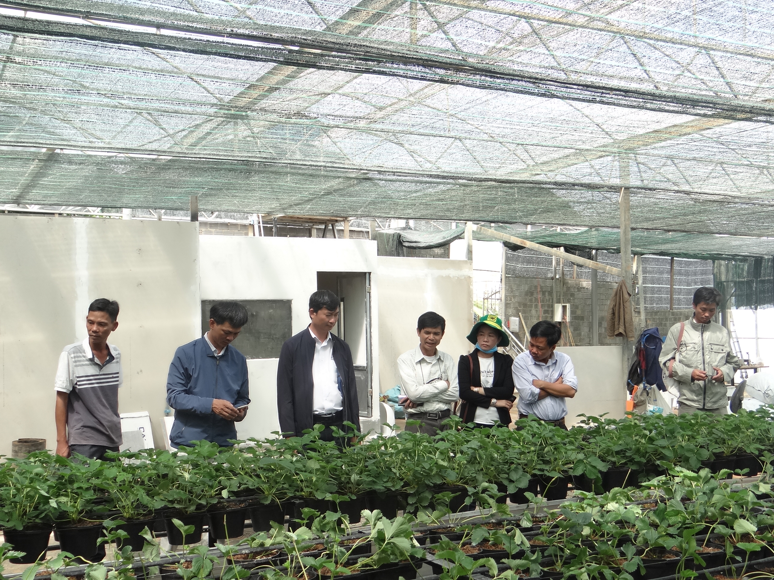 Phát triển kinh tế trang trại gắn với du lịch nông nghiệp