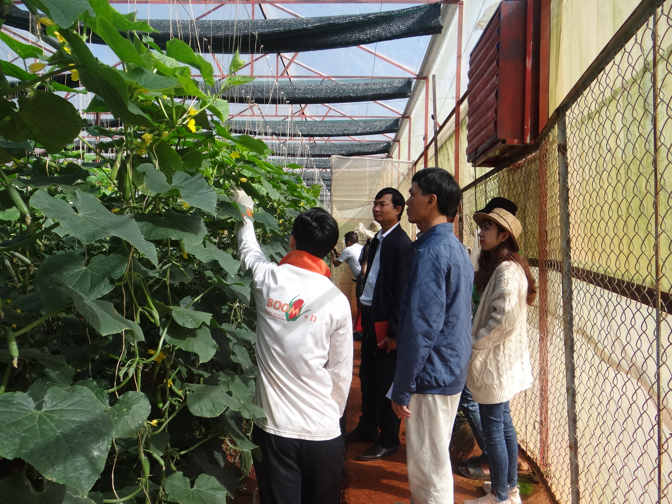 Phát triển kinh tế trang trại gắn với du lịch nông nghiệp
