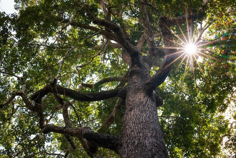 Tây Ninh - Viên ngọc xanh của miền Nam