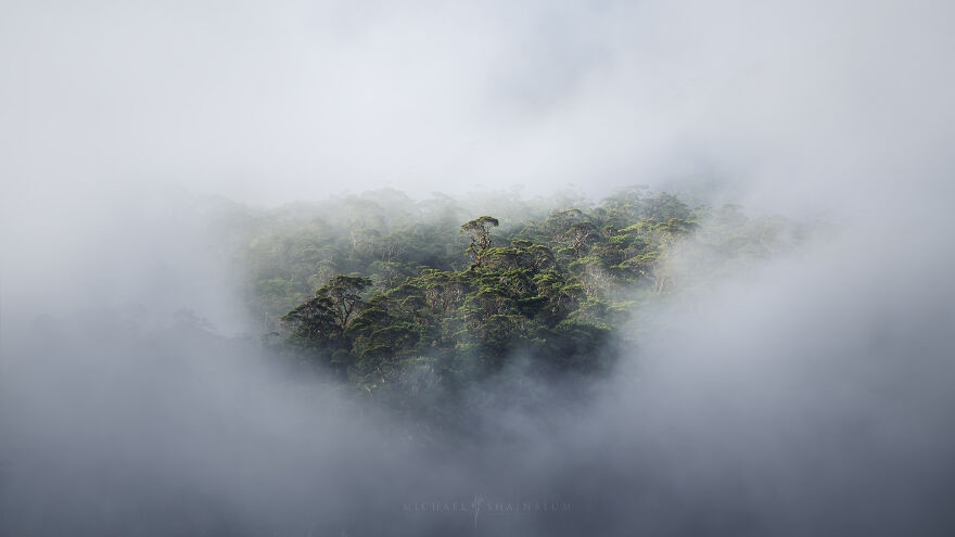 Khung cảnh thiên nhiên đẹp mê hồn ở New Zealand