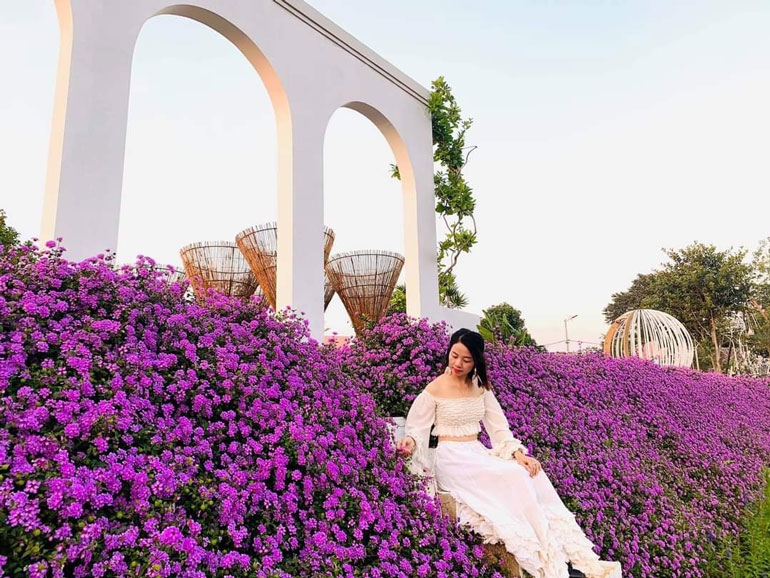 Chuyện tình hoa Đỗ Quyên Đà Lạt