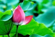 6 pham chat ma nguoi xua day de tro thanh nguoi cao quy