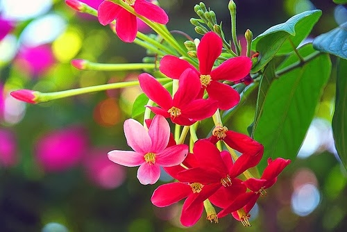 Tử vi ngày 20/1/2022 của 12 cung hoàng đạo: Kim Ngưu cơ hội đầu tư, Xử Nữ vô lý