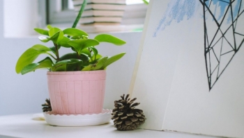 Tử vi thứ Sáu ngày 7/6/2019 của 12 cung hoàng đạo